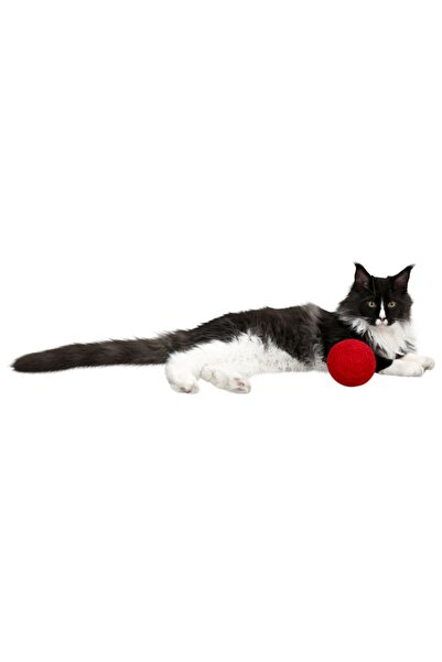 KERBL Red Yumak with Toy Rattle for Blind Cats [diameter 10 Cm ]