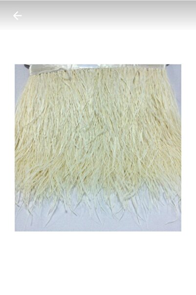 Genel Markalar Deve Kuşu Tüyü Krem 1 m