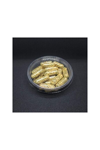 Genel Markalar Long Term Akıllı Kapsül Gübre 25'li Paket (uzun Süreli)