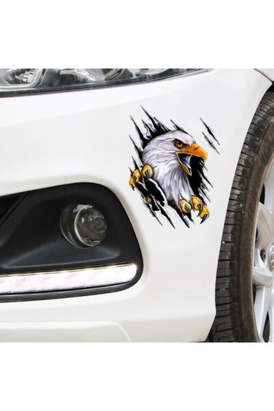 TSC Kartal Araba Oto Sticker Yapıştırma Renkli