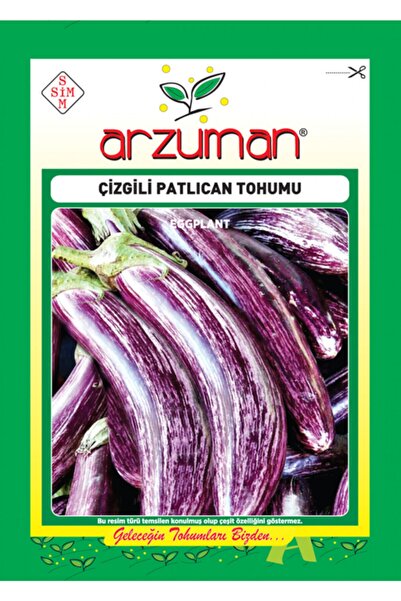 Eggplant Seed Striped Eggplant