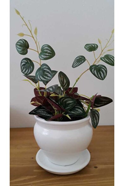 hayat ağacı Çömlek Saksı