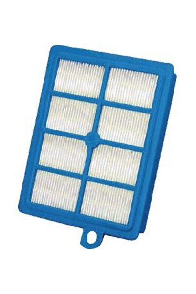 Electrolux Efs1w Allergy Plus - فلتر مكنسة كهربائية Hepa13