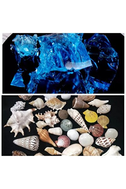 Doğan 1kg Mavi Jel Mum Teraryum Hammadde +100 Gr Karışık Orjinal Deniz Kabuğu