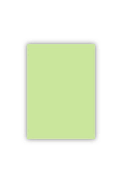 Bigpoint Fund Cardboard 50x70cm 160 grams Green Pack of 100 (Korea)