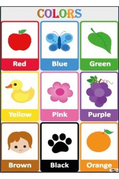 okulcenter Ingilizce Renkler (colors) Afişi 2 (vinil) 50x70 Cm