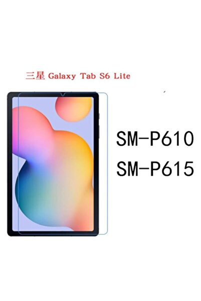 TEKNETSTORE Samsung Galaxy Tab S6 Lite P610 Tablet Ekran Koruyucu Kırılmaz Na...