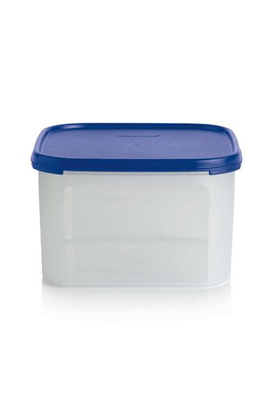 Tupperware Tupperrware Oval Modular Storage Container 2.6 Lt Ovl01285