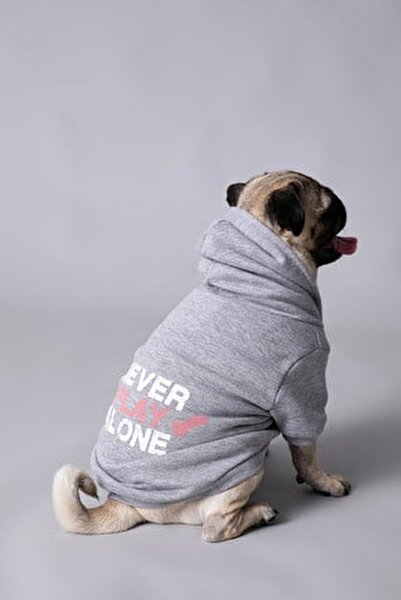 Koton Kopek Gri Sweatshirt 1kal68329uk Fiyati Yorumlari Trendyol