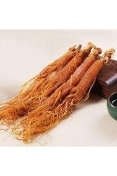 Sakız Ağacı Kırmızı Kore Ginseng Kökü 1, Kalite 50 G