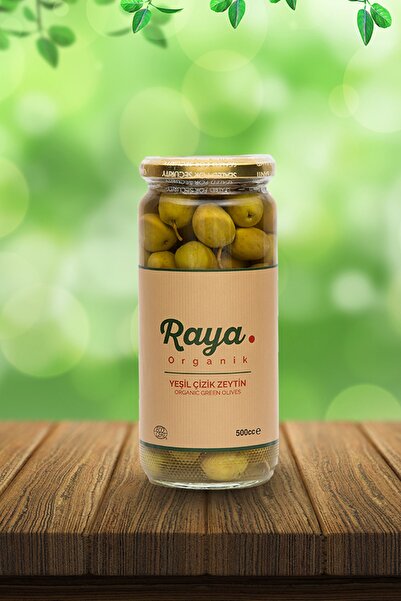 RAYA Organik Yeşil Zeytin 500 cc Katkısız Doğal Koruyucusuz