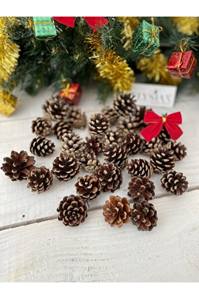 Elysian Декоративна зимна украса от борови шишарки 10 мини коледни украси Укр...