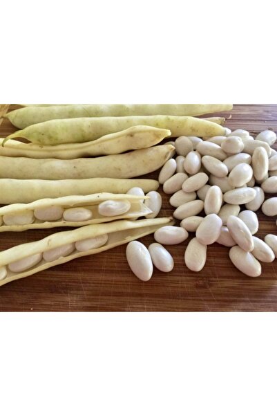Sebze Meyve Dünyası Badala Fsulyesi ( 1 Kg )
