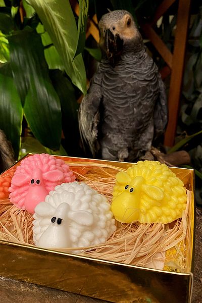FANTASTİK SANAT ATÖLYESİ 3 Pcs Lamb Figure Bath Soap Set - Honey, Strawberry, Vanilla