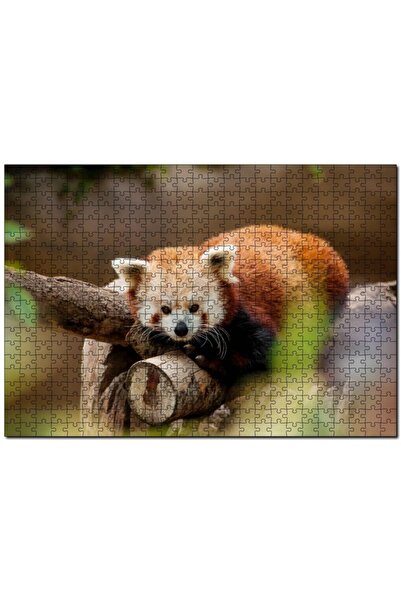 Cakapuzzle لغز الباندا الحمراء يستريح على الفرع 500 قطعة Mdf (خشب)