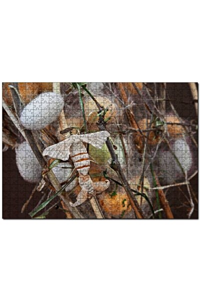 Cakapuzzle Ipek Böceği Ve Kozası Görseli 500 Parça Puzzle Yapboz Mdf (ahşap)