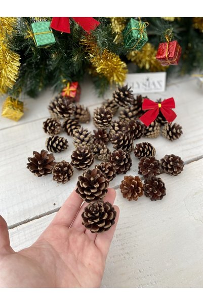 Elysian Pine Cone Decorative Winter Ornament 10 Pieces Mini Christmas Ornaments Christmas Tree Ornament Natural Pine Cone