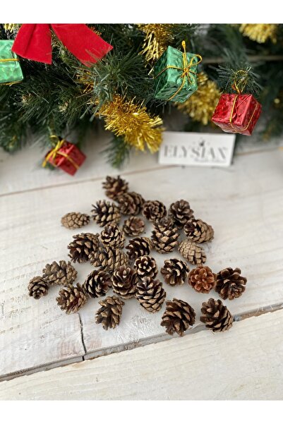 Elysian Διακοσμητικά χειμερινά στολίδια από κώνους πεύκου 20 τεμάχια Εξαιρετι...