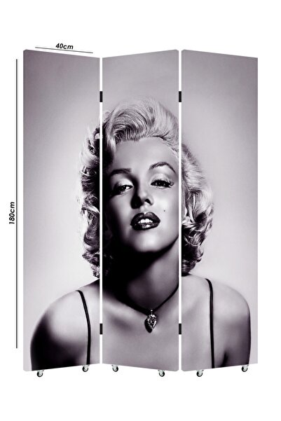 Genel Markalar Merlin Monro 3 Kanatlı Oda Bölücü Çift Taraflı Kanvas Paravan
