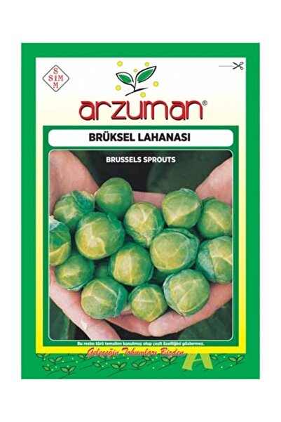 Arzuman Tohum Brüksel Lahana Tohumu