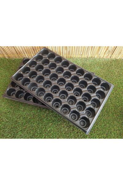 Doğalsan Tarım Fide Viyolü 45 Göz 15 Adet Fide Viyol Fide Viyolleri Fide Yeti...