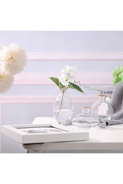 Miniminti Transparent Glass Vase Set - 3-Piece with Gold Detail