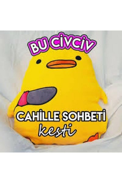 Koala الفرخ المشكل