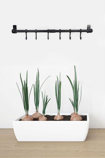 Buffer ® Wall Mounted Decor with 6 Hooks - Spoon Holder and Mug Hanger Mm72Yt2258