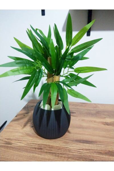 YEŞİLADA Yapay Bambu Ağacı Antrasit Gri Renk Saksıda 45 Cm Boy Bambu Ağaç Çiçek