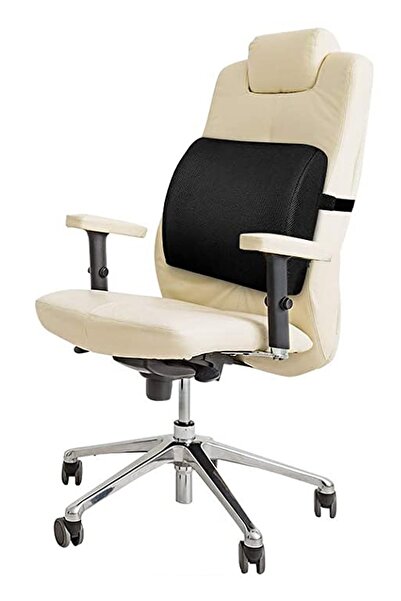 Ankaflex Orthopedic Back Cushion Vehicle Seat Chair Waist Pillow Lumbar Suppo...