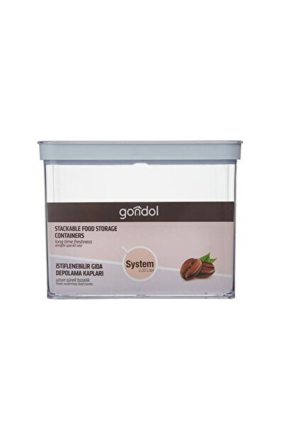 Gondol 2 Lt system Rectangular storage Container