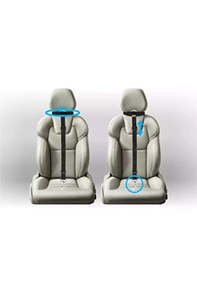 HeiN Evcil Hayvan Araç Emniyet Kemeri