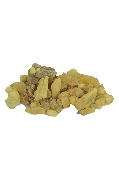 LokmanAVM Ak Günlük Sakızı Doğal 100 Gr Paket