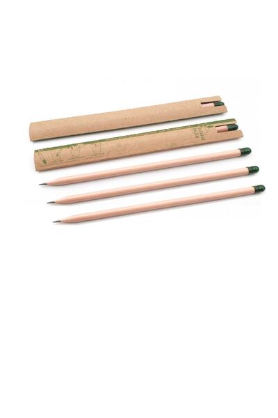 SoyAkca Pencil with Seeds 5 Pieces (with Flower Seeds)