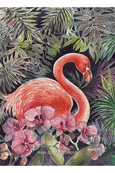 Nova Puzzle نوفا 41097 لغز فلامينجو - 1000 قطعة - تاتيانا بلوفيتسكايا