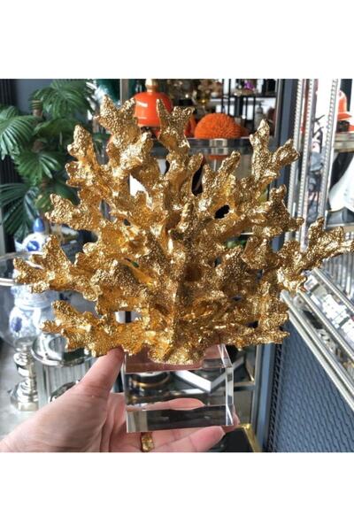 TASARIMHMODA Polyester Mercan Dekor / Gold