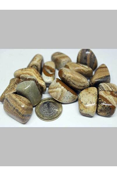 Yasamtohumu Камінь яшма коричневий плямистий (9744)