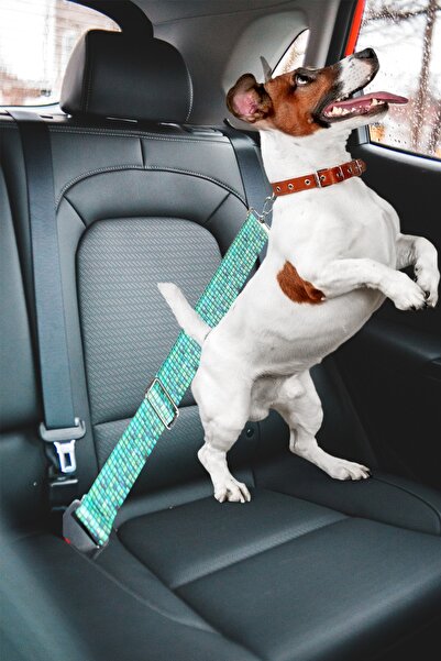 BYPET Tüm Araçlara Uyumlu Köpek Emniyet Kemeri