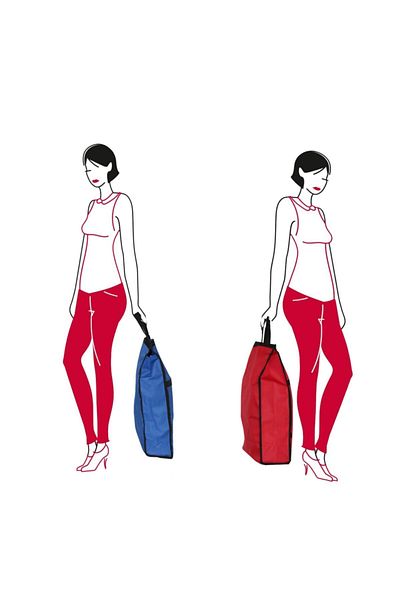 Exent Blue Picnic Bag Market Bag Color Option Folding Portable Bag