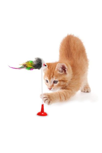 5DM Suction Cup Mouse Cat Toy