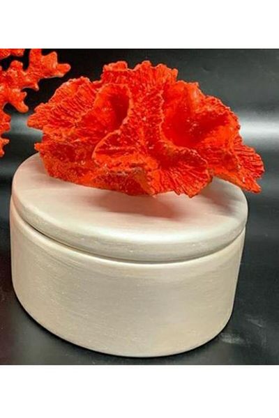 By Ari Ev Dekorasyon Coral Box-ku101-2