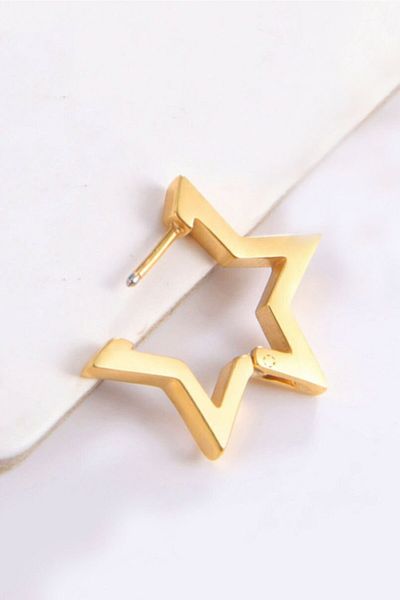 The Collection Women Men Gold Star Model Surgical Earrings Steel