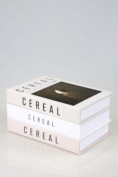 irayhomedecor Cereal Set of 3 Decorative Book Box