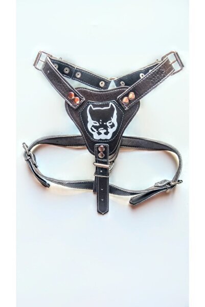 CESS PET Gladyatör Köpek Tasması Orta Boy Kahverengi