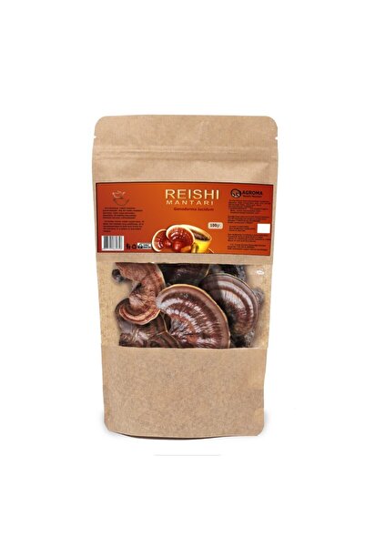 Reishi ( Ganoderma Lucidum ) Mantarı Kuru - Natural 100gr