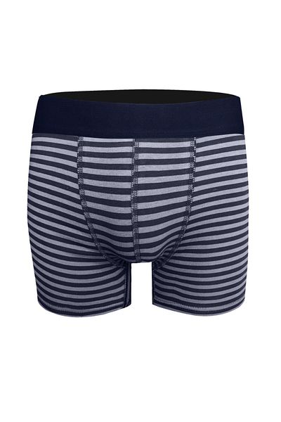 darkzone Ανδρικά μπόξερ ριγέ Navy Blue