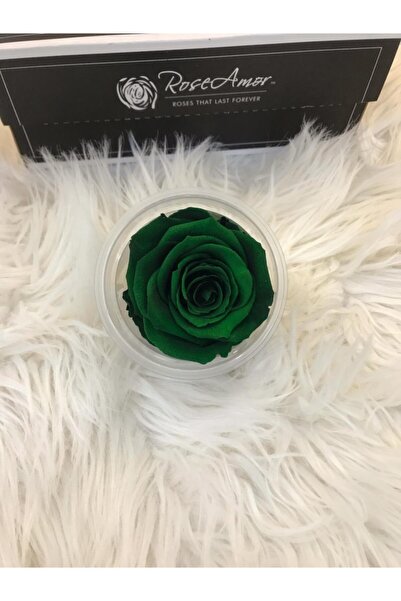 Unfading Brand Xl Live Rose