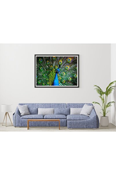 Nova Puzzle 41113 لغز وقت البناء 1000 قطعة