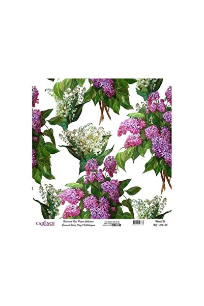 Cadence Evrensel Pirinç Dekopaj - Uc14