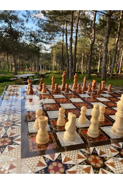megame Wooden Chess and Backgammon Set, Luxury Backgammon Board, Wooden Chess Piece Backgammon Set